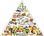 https://upload.wikimedia.org/wikipedia/commons/thumb/e/eb/Nutrition-pyramid.jpg/220px-Nutrition-pyramid.jpg
